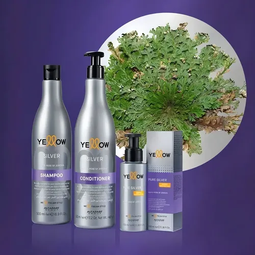 Shampoo Yellow Silver Para Pelo Rubios Grises Mechas Blancos
