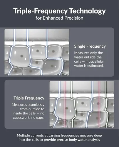 Escala Inteligente De Composición Corporal Inbody Dial H30,