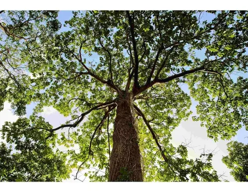 Natura Ekos Pulpa Hidratante Para Las Manos