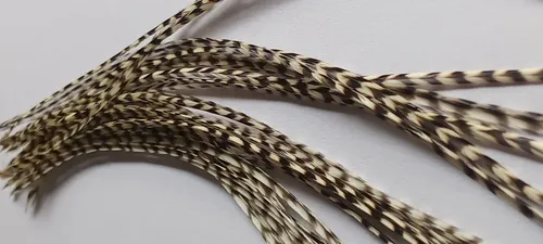 Plumas Naturales Para Pelo X6un. De 23-25cm Mix De Colores