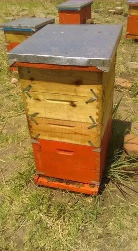 Cera Virgen De Abejas 1k Pura Cosmetica