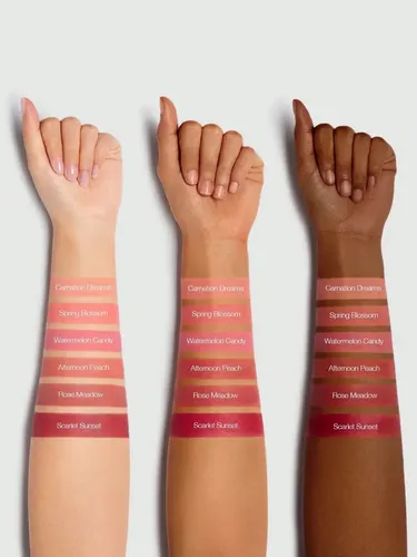 Sheglam Rubor Cheeky Color Jam Tono Del Maquillaje Rose Meadow
