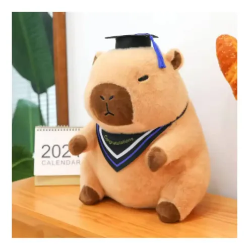 Muñeca De Peluche Con Gorro De Graduación, Regalo De M