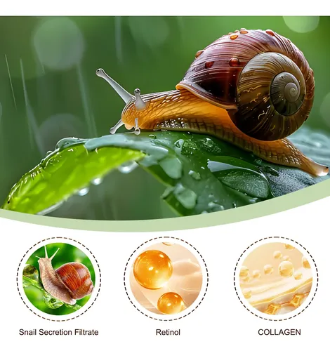 Crema Colágeno Caracol – Textura Seda Y Absorción Rápida