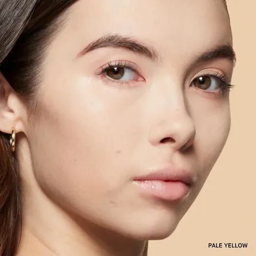 Polvo Fijador Compacto Bobbi Brown Sheer Finish 02 Pale