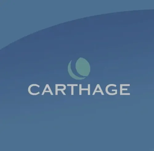 Carthage Mascara Plastica Con Niacinamida