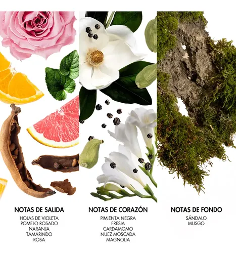 Perfume Mujer Pret A Porter Edt 100ml