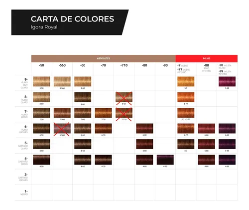 Kit X2 Tintura + Oxidante 10 Vol Igora Royal Schwarzkopf