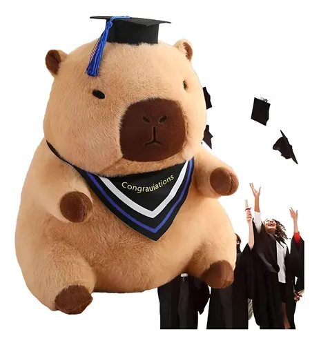 Muñeca De Peluche Con Gorro De Graduación, Regalo De M