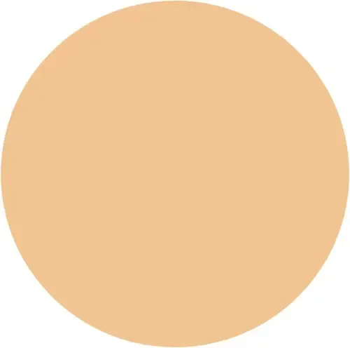 Revlon New Complexion Onestep Compact Makeup Amplio Espectro Tono 05 Medium Beige