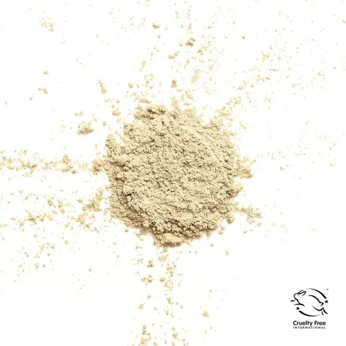 Polvo Mineral Suelto Trublend Covergirl 17.86g Plátano