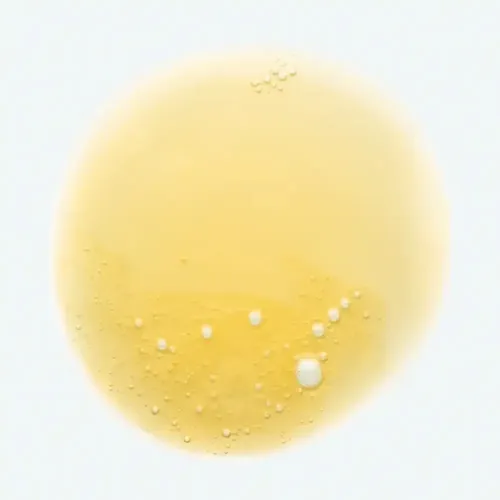 Klorane Shampoo De Mango X 200 Ml