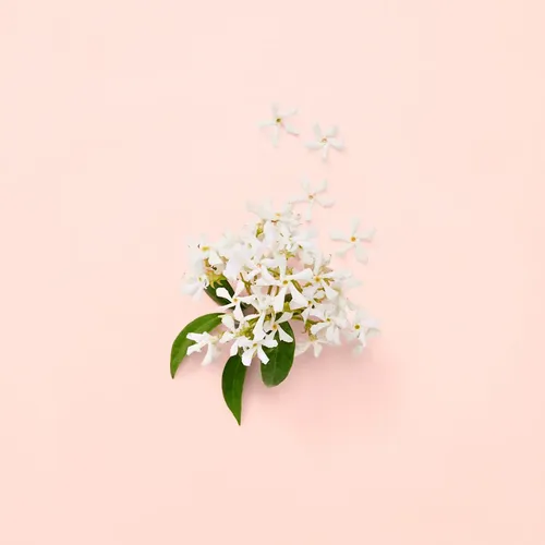 Perfume Floral Gucci Bloom Eau De Parfum 100ml