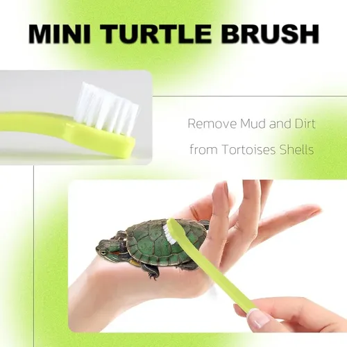 Cepillo Con Forma De Caparazón De Tortuga Para Cabello Suave