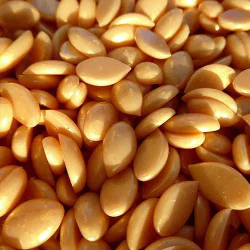 Cera Dura Waxness Gold Rush  1.65 Lb (750 G) Sin Resina