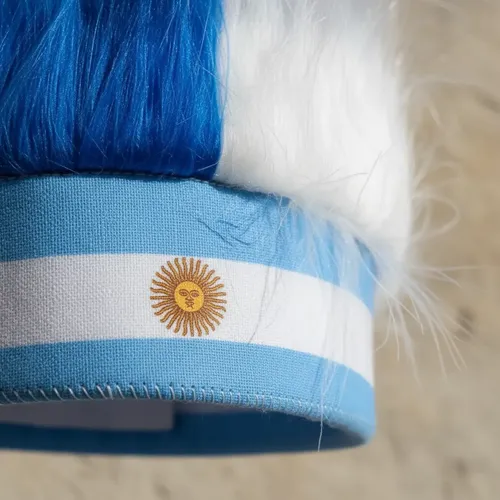 Vincha Peluca Pelos Parados Argentina Mundial Fiesta