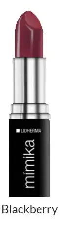 Lápiz Labial Mate Lidherma Mímika Color Blackberry Barra