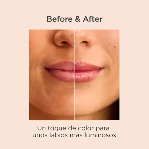 Isdin Reparador Labial Stick Con Ácido Hialurónico Granate