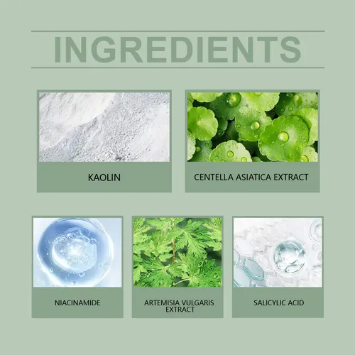 Hoygi Mugwort Clay Mask Stick Para Limpeza Profunda P