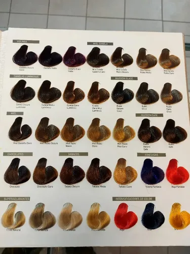 6 Tinturas Exiline Intensive Color Argán Oil X 60gr. C/u