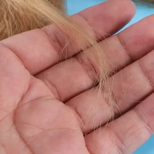 [5 Trenzas Sucias, Cabello Trenzado Sintético Graduado, Cabe