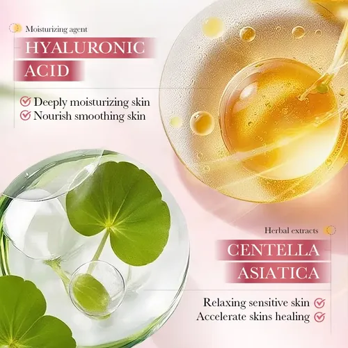 Set De Cuidado Facial Hidratante Con Aloe Vera, Caja De Rega