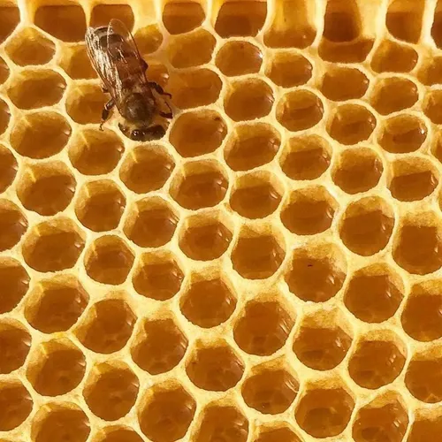 Bloque Cera De Abeja Stakich 454g Natural Triple Filtrado