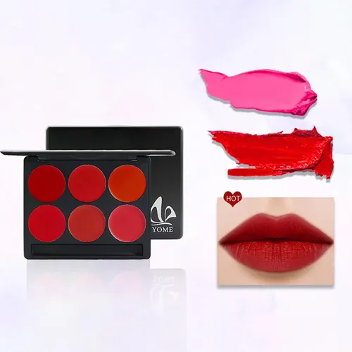 Paleta De 6 Pintalabios, Brillos Labiales, Plato