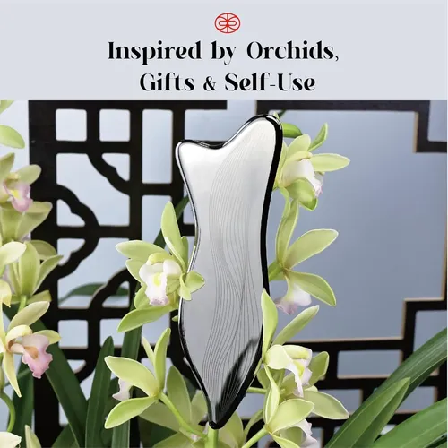 Herramienta Facial Gua Sha Acero Inoxidable Plata