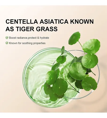 Base Cc Hidratante Spf 25 Centella Irven 45ml