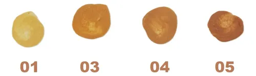 Base Corrector Liquido Concealer Waterproof Tejar 4 Unidades