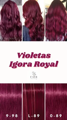 Tintura Coloración Schwarzkopf Professional Reds Igora Royal tono 6-77 para cabello