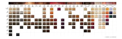 Tinte Profesional Permanente Igora Royal Schwarzkopf 60ml Tono 12-19