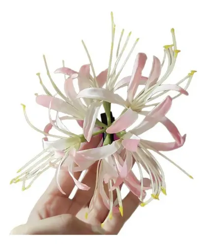 F#j Kit Accesorios For El Cabello Mujer Lazo Y Flor //