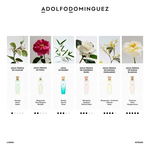 Adolfo Dominguez Agua Fresca Mimosa Coriandro Edt 120ml
