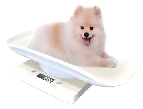 For M Báscula Digital De Alta Precisión For Perros Y Gatos