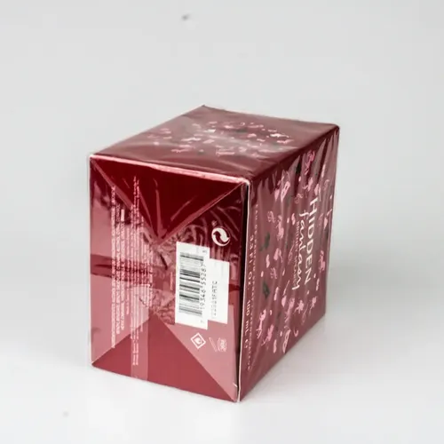 Perfume Hidden Fantasy 100 ml Eau de Parfum Britney Spears Floral Frutal