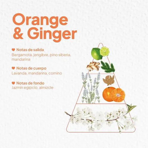 Exfoliante Corporal Idraet Body Scrub Kiki Orange And Ginger