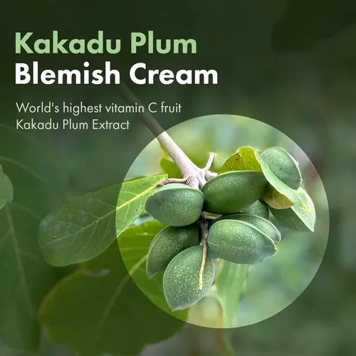 Crema Para Imperfecciones Tosowoong Kakadu Plum 50g