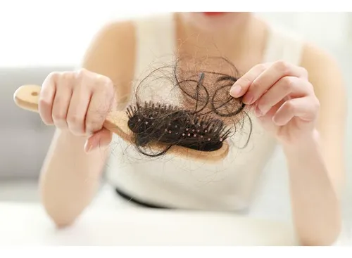 Paquete De 2 Mini Cepillo De Pelo Herramienta De Limpieza