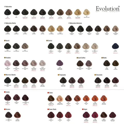 Kit Tintura Alfaparf Evolution X 6 + Oxidante X 1000 Color
