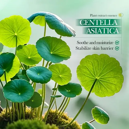 Set Cuidado Facial Dolanjn Centella 5 Pasos