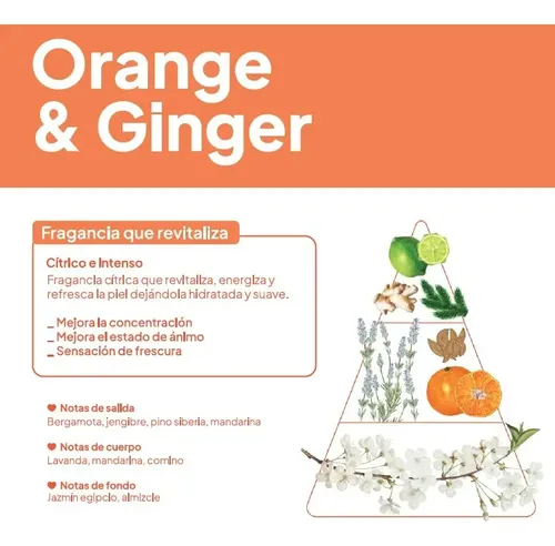 Gel De Ducha Corporal Hidratante Orange Ginger Kiki Idraet