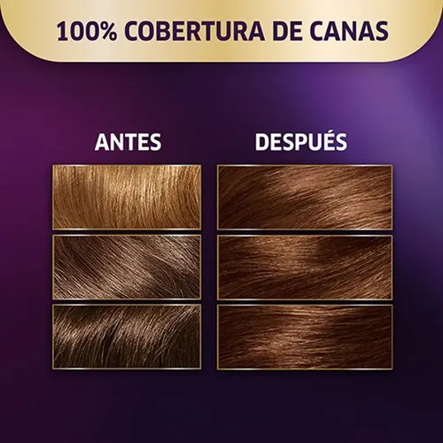 Kit Tintura Perm- Tratamiento Hidratante 415 Impulso Castaño