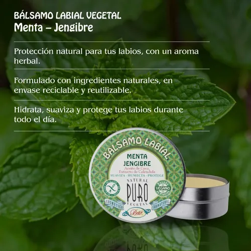Bálsamo Labial Lata Jengibre Menta Boti-k Puro