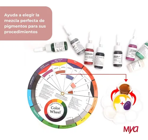 Circulo Cromático Maquillaje Color Wheel Rueda Creativa Mini