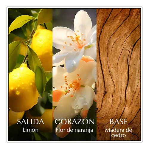 Perfume Mujer Chanson D’eau Lemon Sicily Edt 100ml