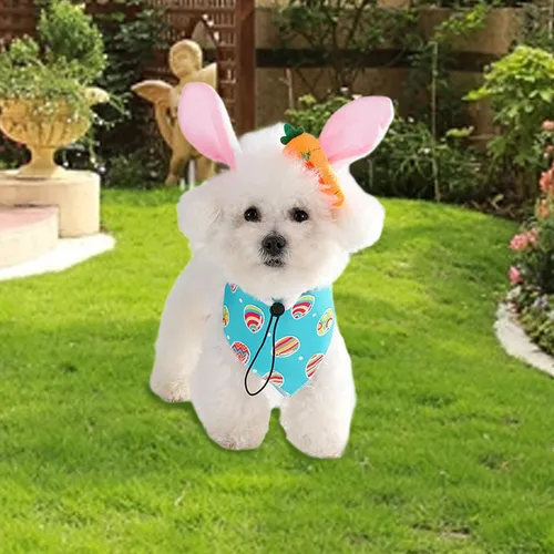 Bandana Para Perro, Babero Para Perro, Accesorios De S Azul