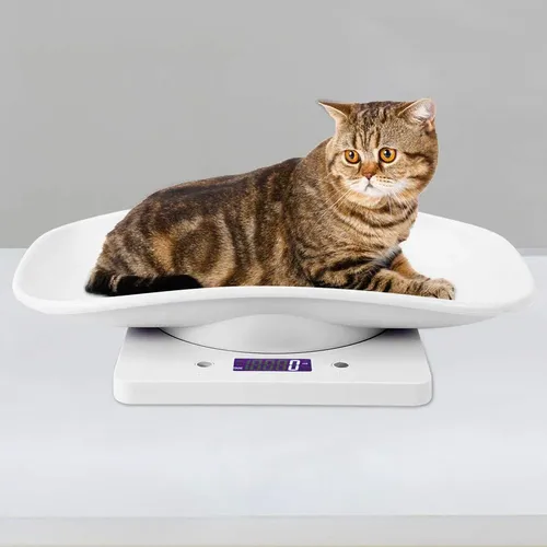 Báscula De Peso Multifunción Electrónica Portátil 10 Kg/1g