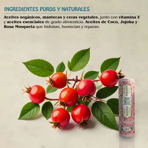 Protector Labial Humectante Con Rosa Mosqueta Natural Boti-k